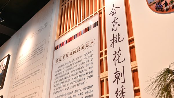 省级非遗名录添新｜会东挑花刺绣 沉淀在针脚里的岁月深情-会东网