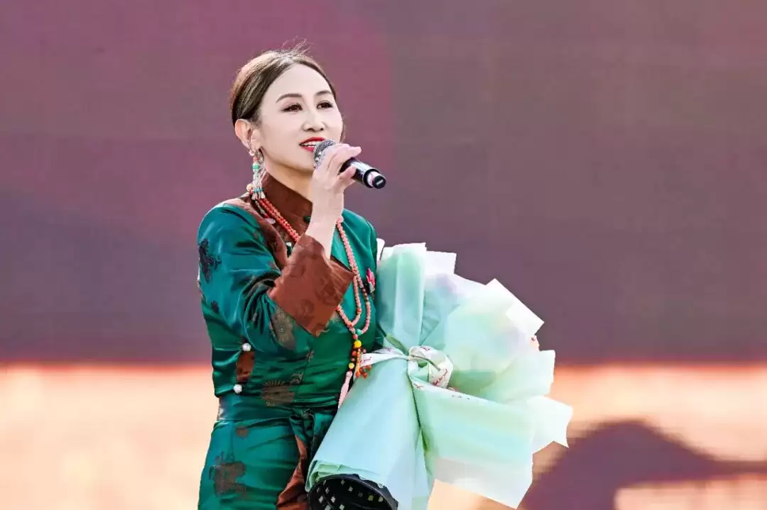 会东县 “多彩欢歌” 惠民演出暨第十届 “双黑” 美食文化季有何亮点？怎样促进文旅融合？插图8