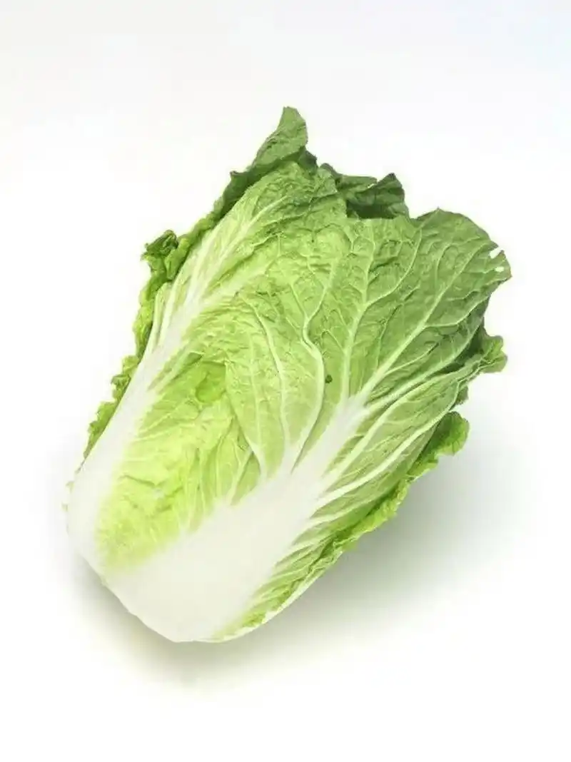 会东网_川滇明珠网