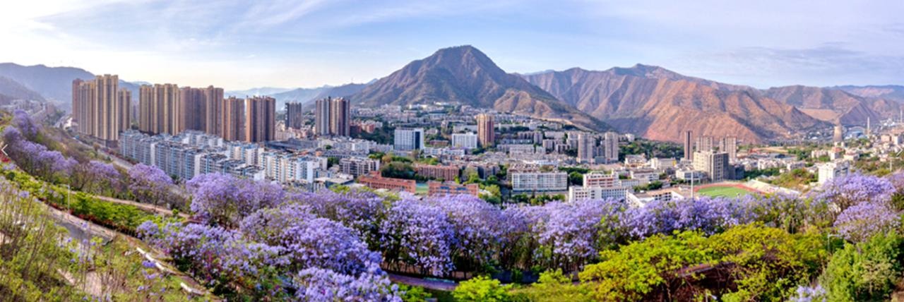 专题-西区-会东网